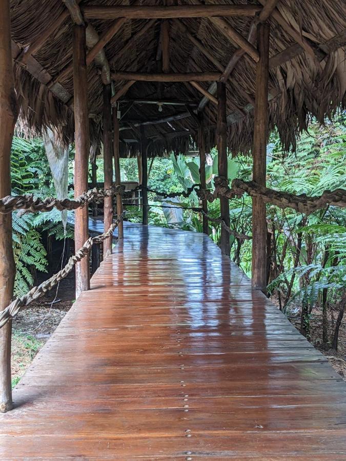 فندق Corcovado Mountain House Drakes Bay المظهر الخارجي الصورة