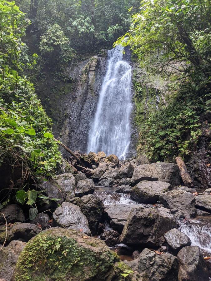 فندق Corcovado Mountain House Drakes Bay المظهر الخارجي الصورة